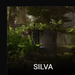 Silva
